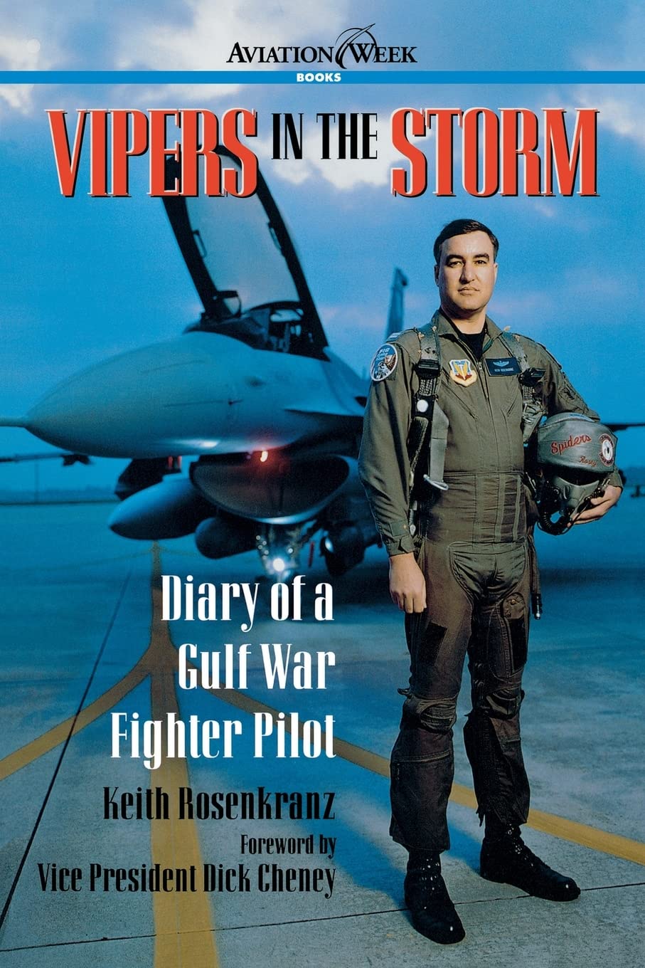 Vipers in the Storm: Diary of a Gulf War Fighter Pilot (AVIATION)