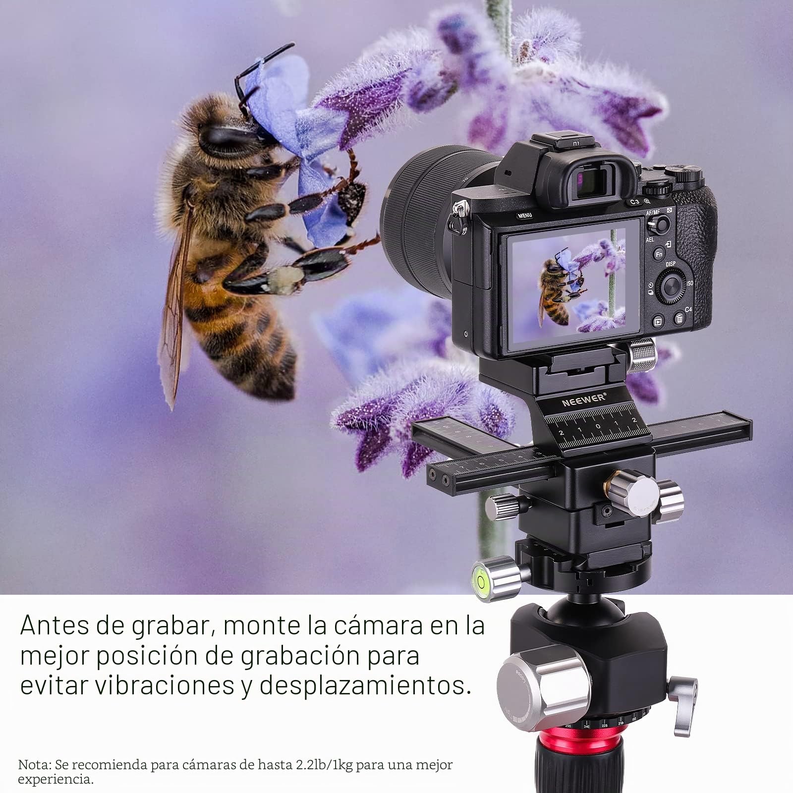 NEEWER Riel de Enfoque Macro de 4 vías con Placa de Liberación Rápida para Tipo Arca, Rosca de 1/4" para Fotografía Macro y Primeros Planos, Compatible con Canon Nikon Fujifilm Sony DSLR Cámara