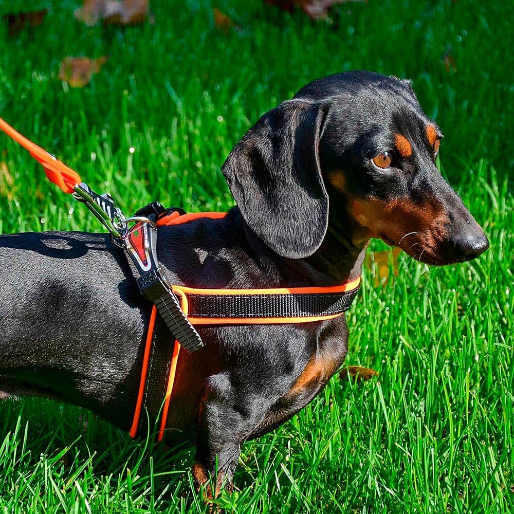 Ferplast Harness for Medium-Sized Dogs AGILA Fluo 4 Dog Harness with Soft Padding, Quick Release and Attachment System, Chest Size 44-52 cm. Yellow