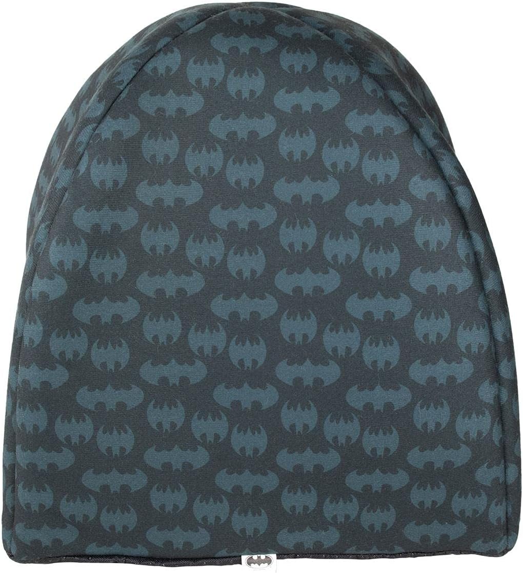 review CERDÁ LIFE'S LITTLE MOMENTS - for Fan Pets | Batman Cats and Dog Bed Small Dogs - Official DC Comics Licence, Multicoloured, Single Size