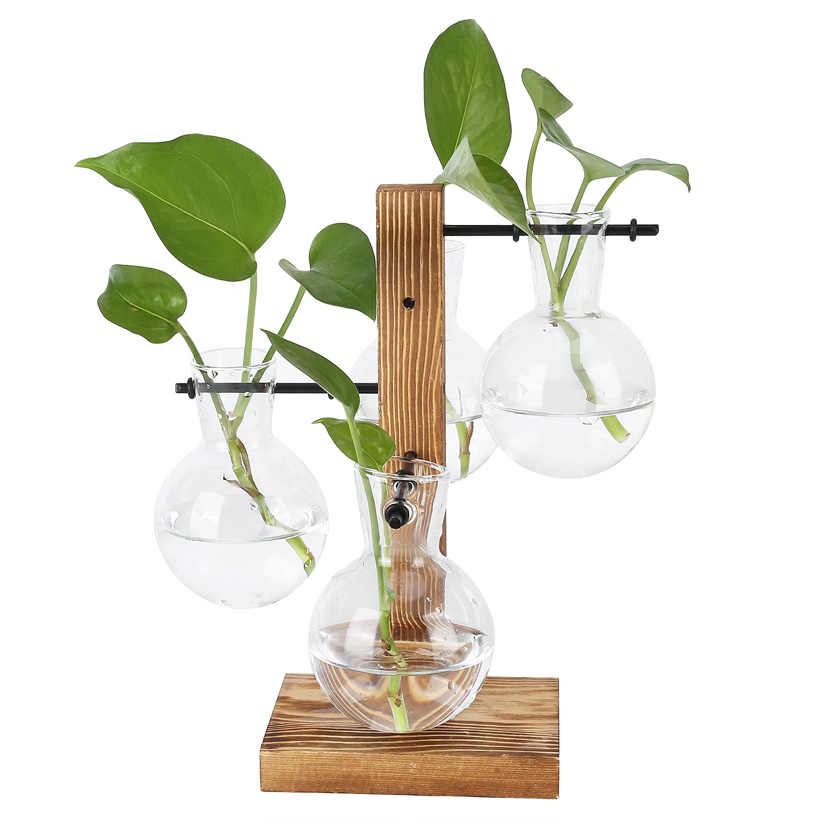 Asixxsix Terrarios de Plantas con Soporte de Madera, Jardinera de Aire hidropónica de sobremesa Retro con Vaso de Cristal de 4 Bombillas para propagar Plantas hidropónicas