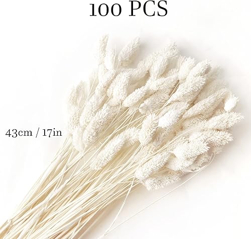 Miniatura 9 de Ramo de pampas secas (bola blanca)