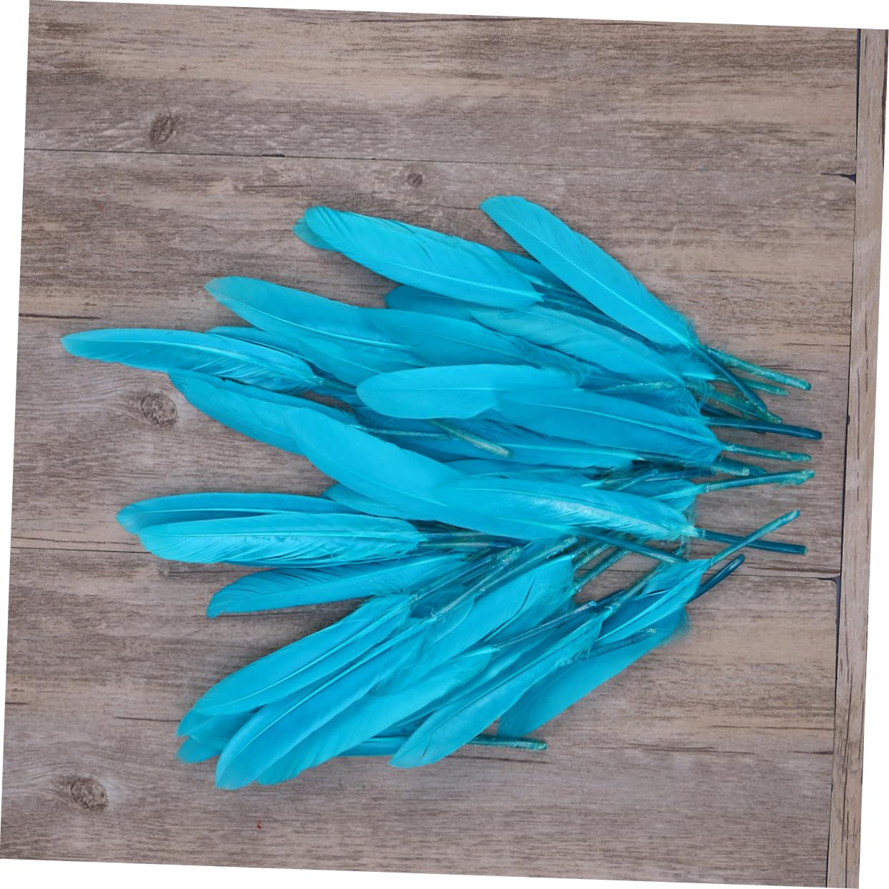 NUOBESTY 1500piezas Naturales De Para Manualidades Materiales Hechos Mano Para Decoración y Accesorios Infantiles
