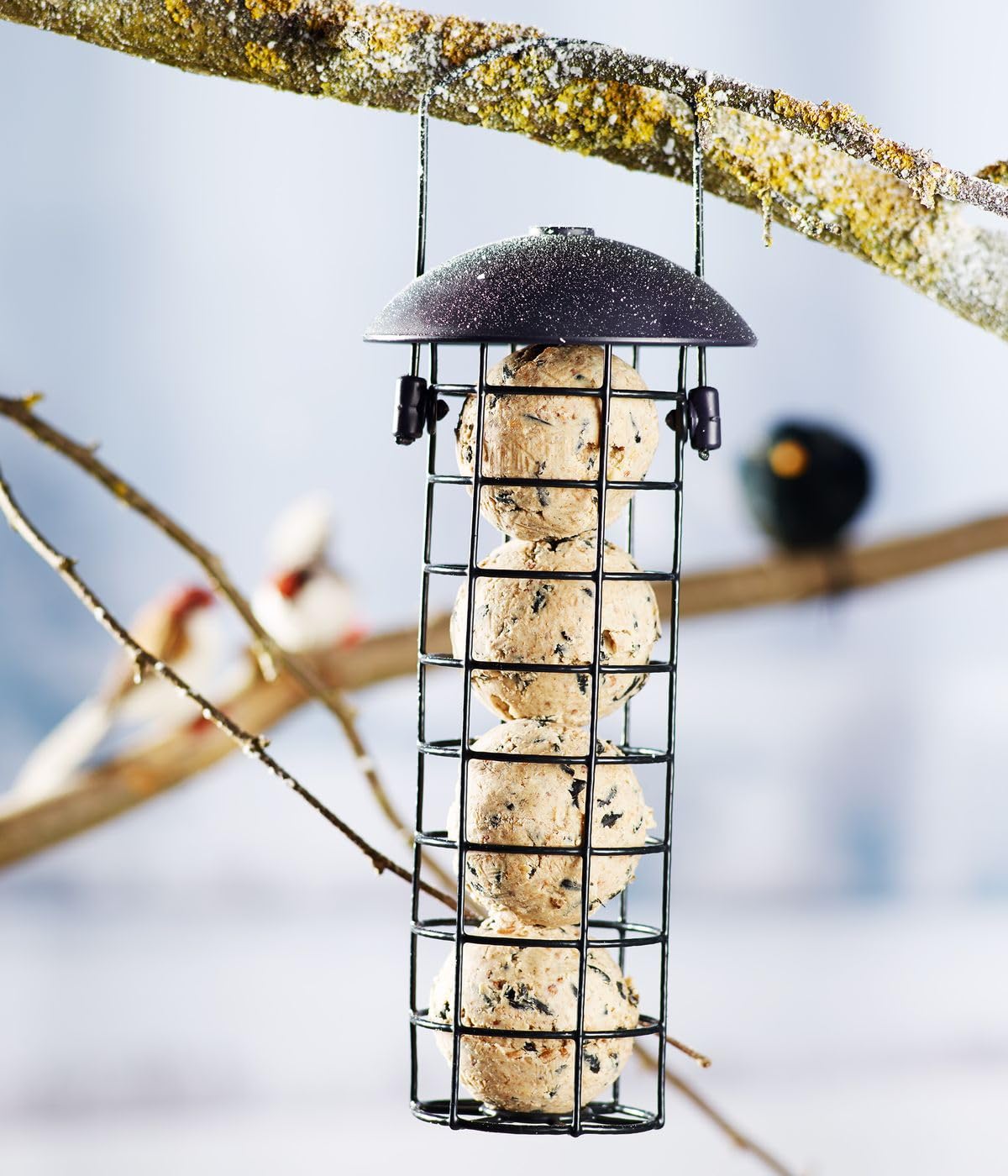 Distributeur Automatique Dehner Natura Pour Boules De Graisse Oiseaux - Capacité 5 Boules, Métal Vert, Résistant Aux Intempéries