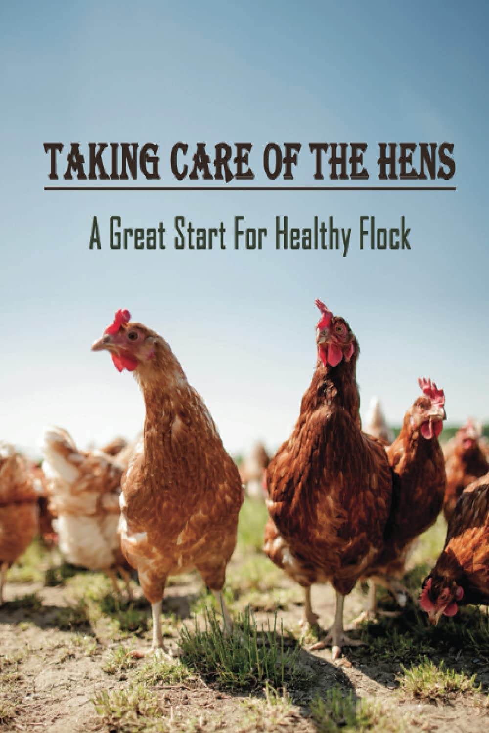 Taking Care Of The Hens: A Great Start For Healthy Flock: How To Raise Chickens For Eggs