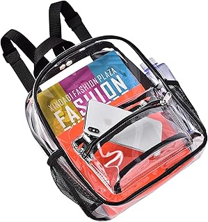 small clear backpack 12x6x12