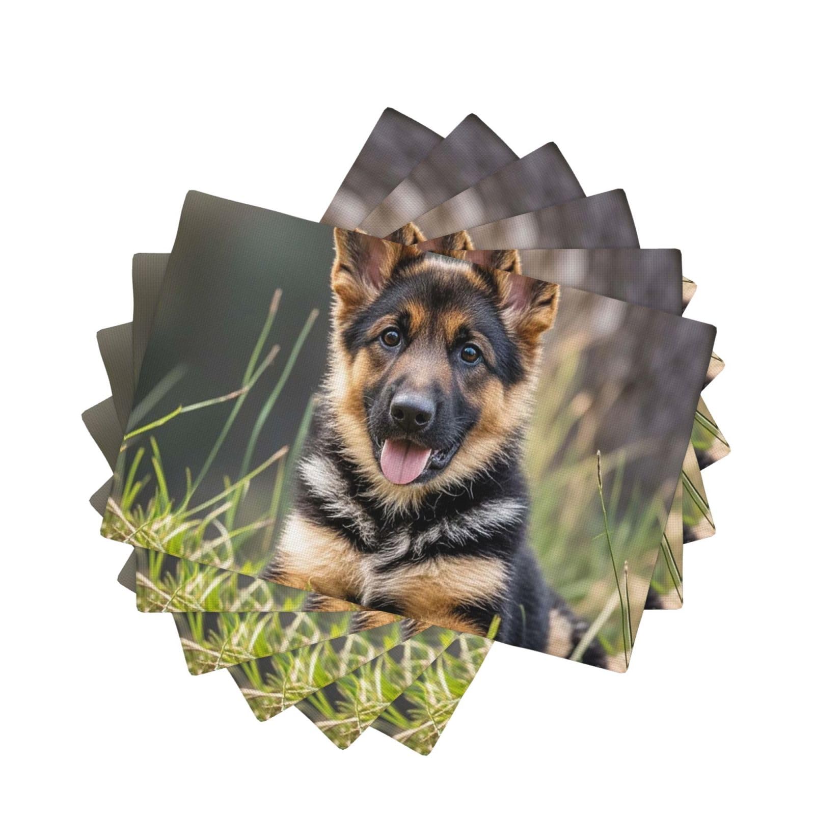 Placemats Set of One Size Washable Wipeable Table Mats Heat Resistant Weave Place Mats German Shepherd Puppy Placemats Wrinkle Free Place Mats for Dining Table Party Holiday 30 x 45 cm