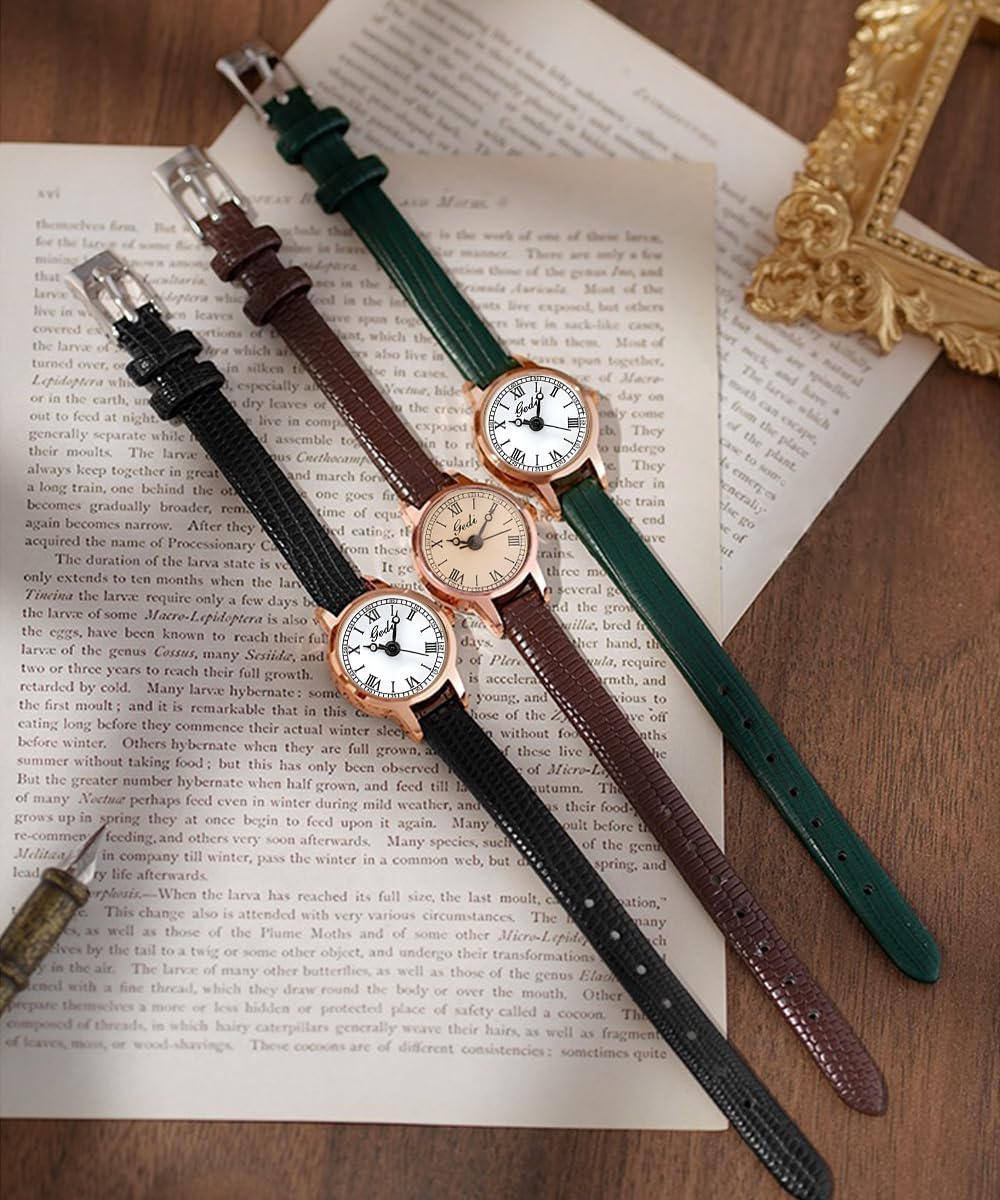 Vintage Watches for Women Fashion Classic Waterproof Wistwatch Dainty Quartz Ladies Bracelet Watch with Leather Strap - Image 2