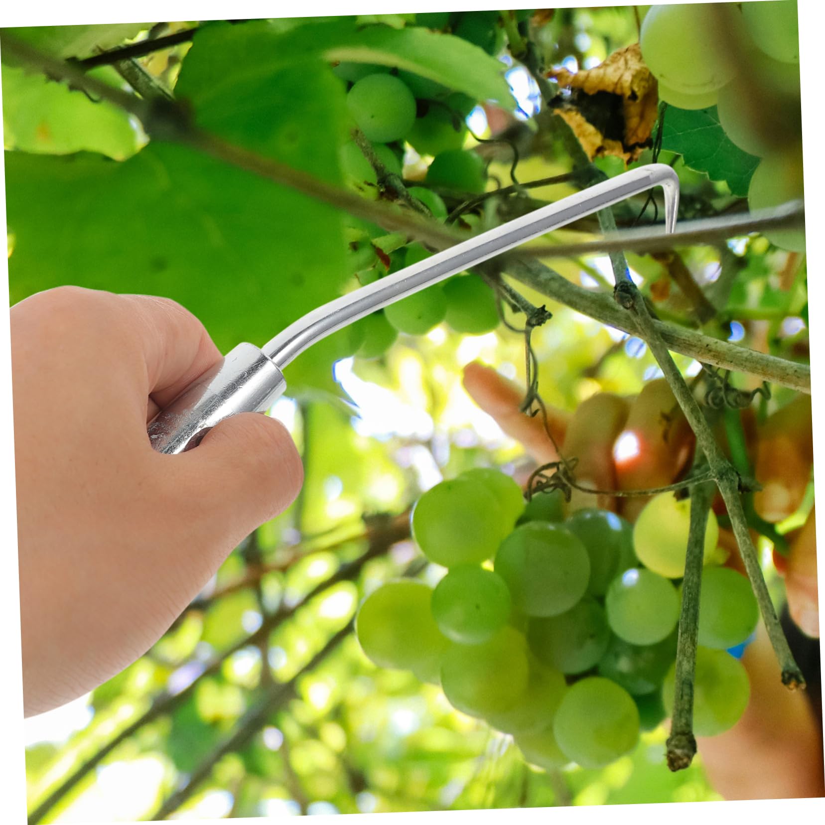 TOYANDONA 4 Set Ganci per Legare Recinzioni E Piante Rampicanti Strumento Pratico E Resistente per Giardinaggio 2 Pezzi * 4