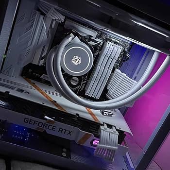 【ENNOY】PROFESSIONAL PADDED SETUP XL ENNOY PROFESSIONAL PADDED Ennoy M