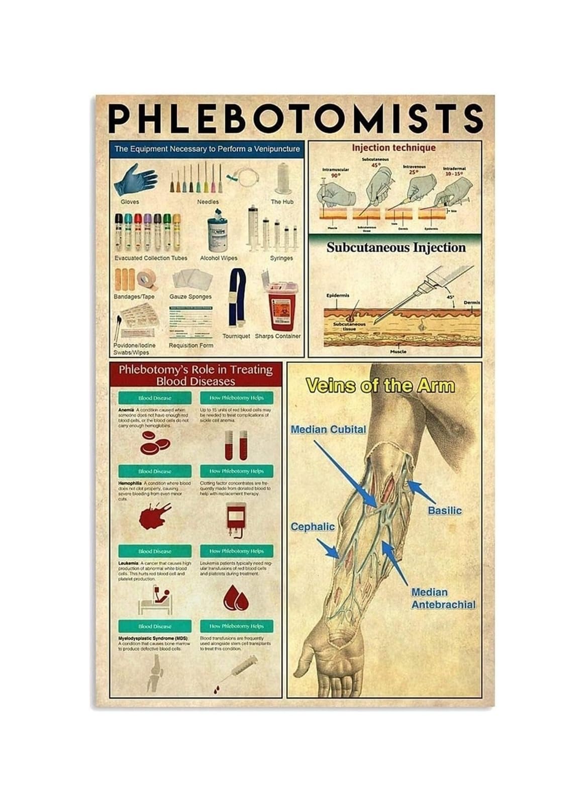 PKNVKZIDK Clinical Phlebotomy Reference Metal Wall Chart Arm Venous Anatomy Diagram Nurse Decor Healthcare Education 8 X 12 in