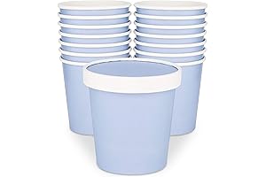 Ice Cream Containers with Lids - 16 oz