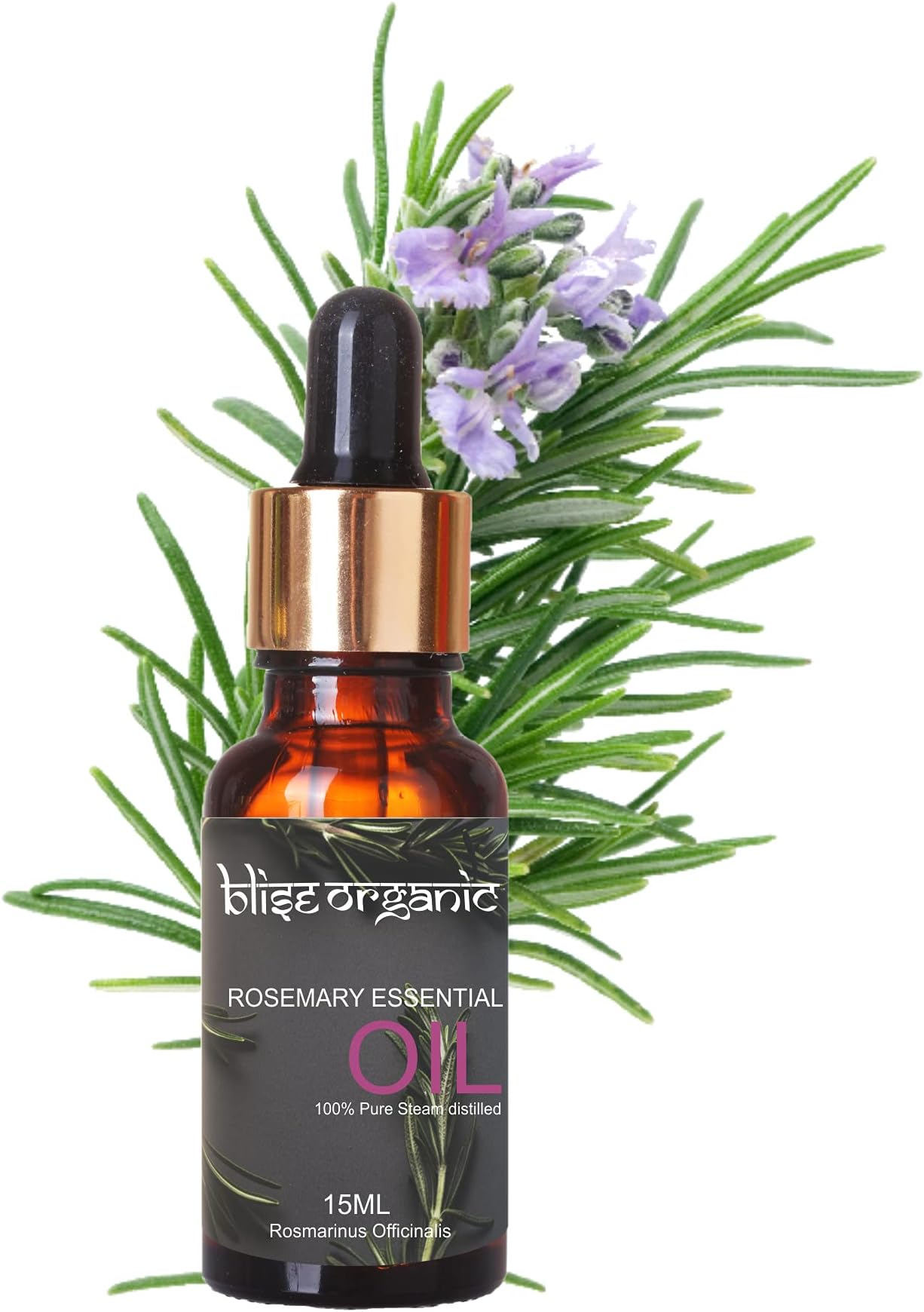 Rosemary Essential Oil -100% Pure and Naturals, For Hair fall control and Growth, Clinically Tested and Soil to Oil Certified, Stenghtens Overall Hair Health