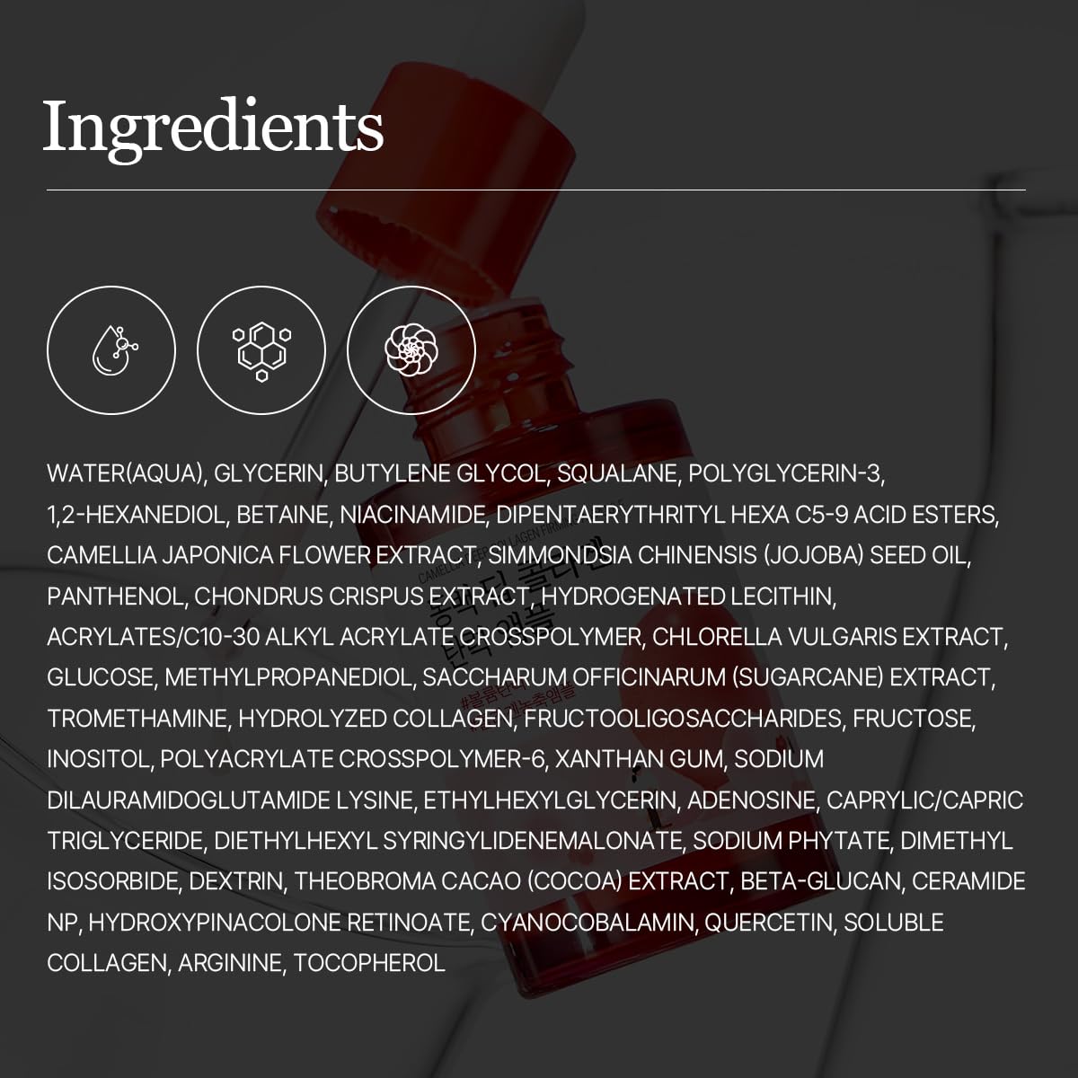 ROUND LAB Camellia fiala rassodante al collagene profondo, 30 ml: siero viso idratante ed elastico con collagene multiplo per levigare e rassodare le linee sottili