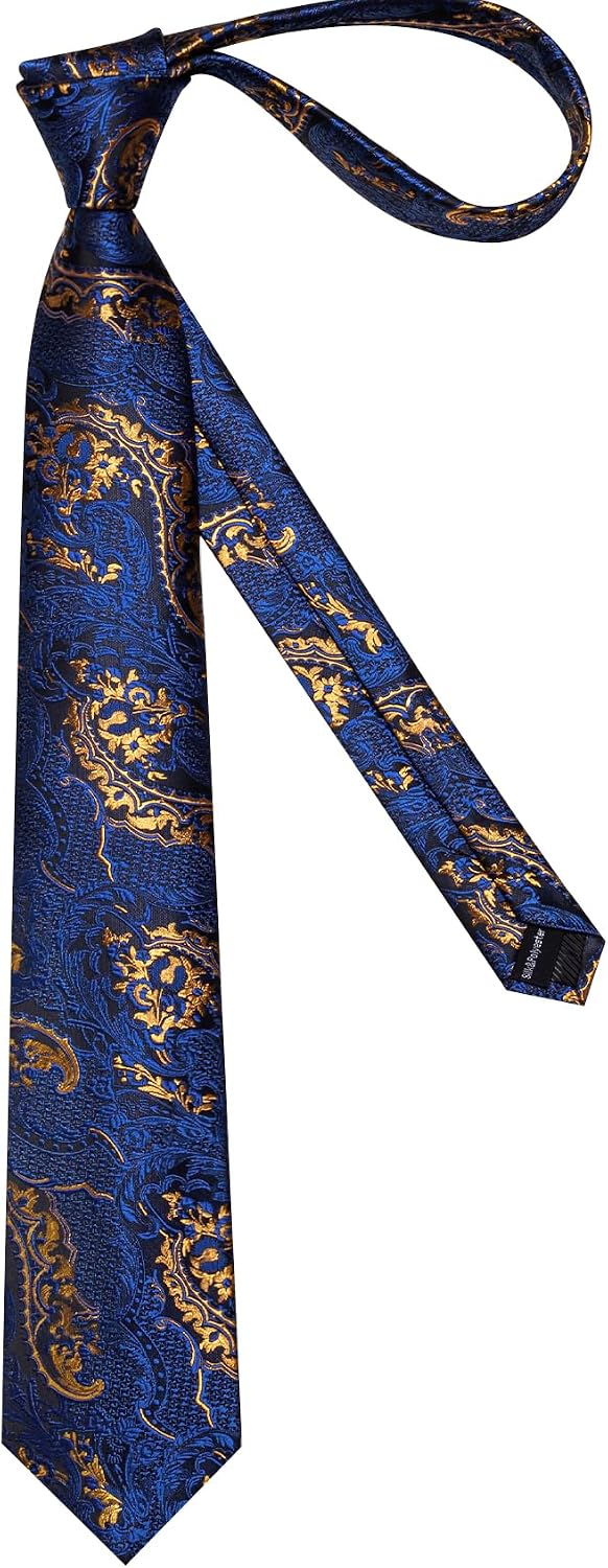 Barry.Wang 63'' Men's Ties Set Fashion Paisley Tie Extra Long Skinny Necktie Lapel Pin Clip with Gift Box Wedding Party