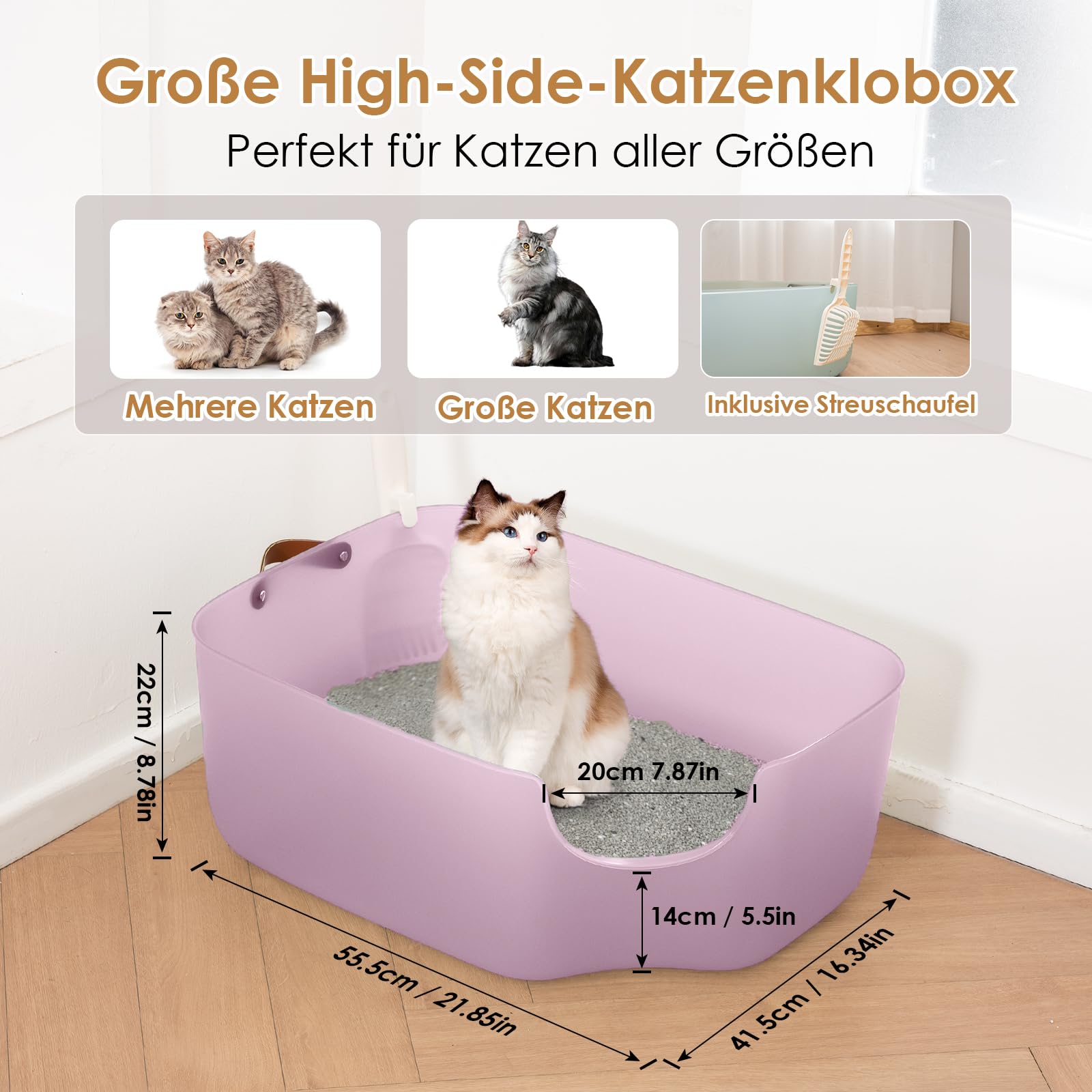Katzentoilette, 56L x 42B x 22H cm Katzenklo mit Hohem Rand, Für Kleine und Mittelgroße Katzen, Katzentoilette mit Leder-Seitengriff & Streuschaufel, Transparentes Lila