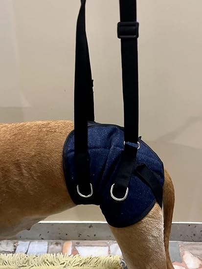 A+a Pets' Dog Lift Support Harness for Hind/Back Legs | for Disable Aged Injured Paralysed Arthritis Pets. (Large, Navy)