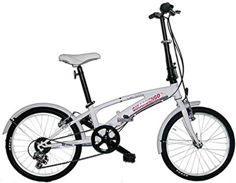 دوامة مطهر غير دقيق bici girardengo pieghevole amazon - spamwell.net
