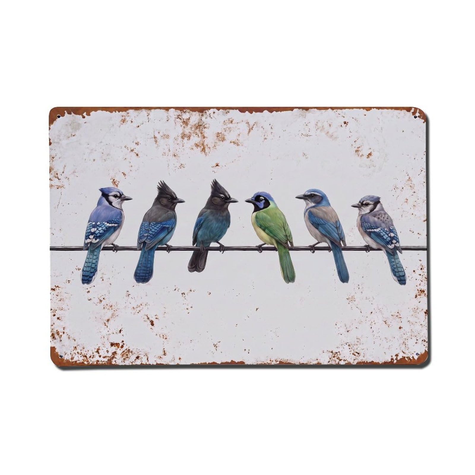 Vintage Retro Birds Jay Metal Tin Sign
