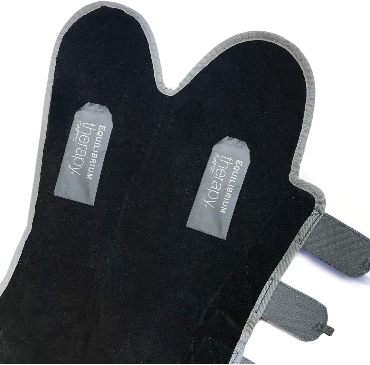 Hind & Hock Magnetic Chaps – Equilibrium