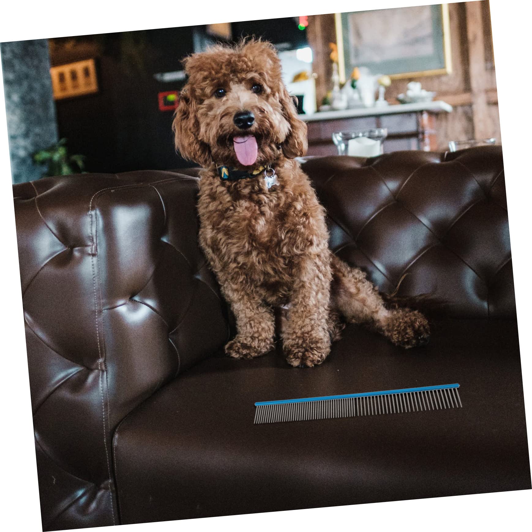 HOLIDYOYO Convenient Dog Cat Grooming Comb Wear-resistant Portable Easy to Clean for Small Large Pets