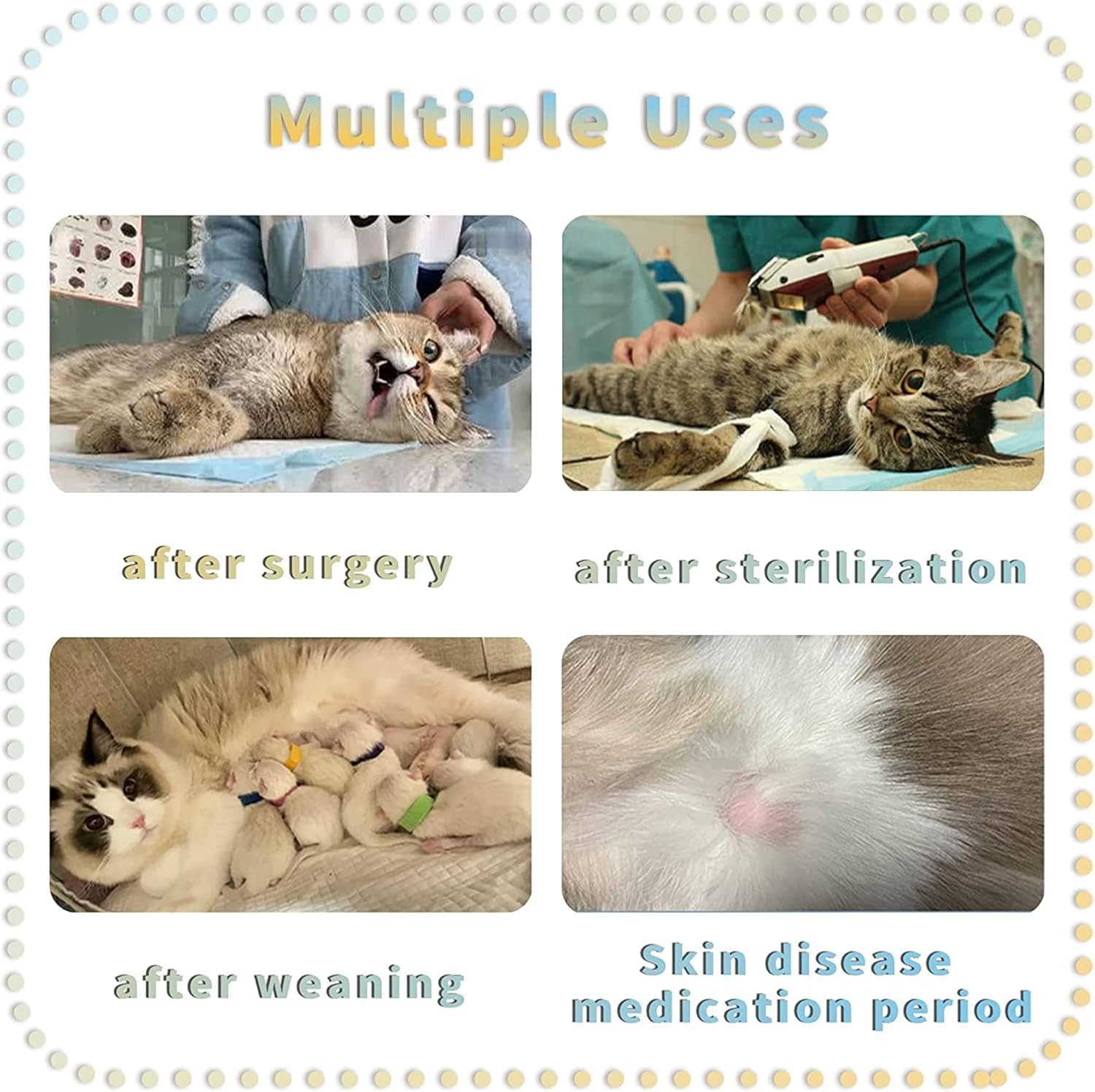 View 5