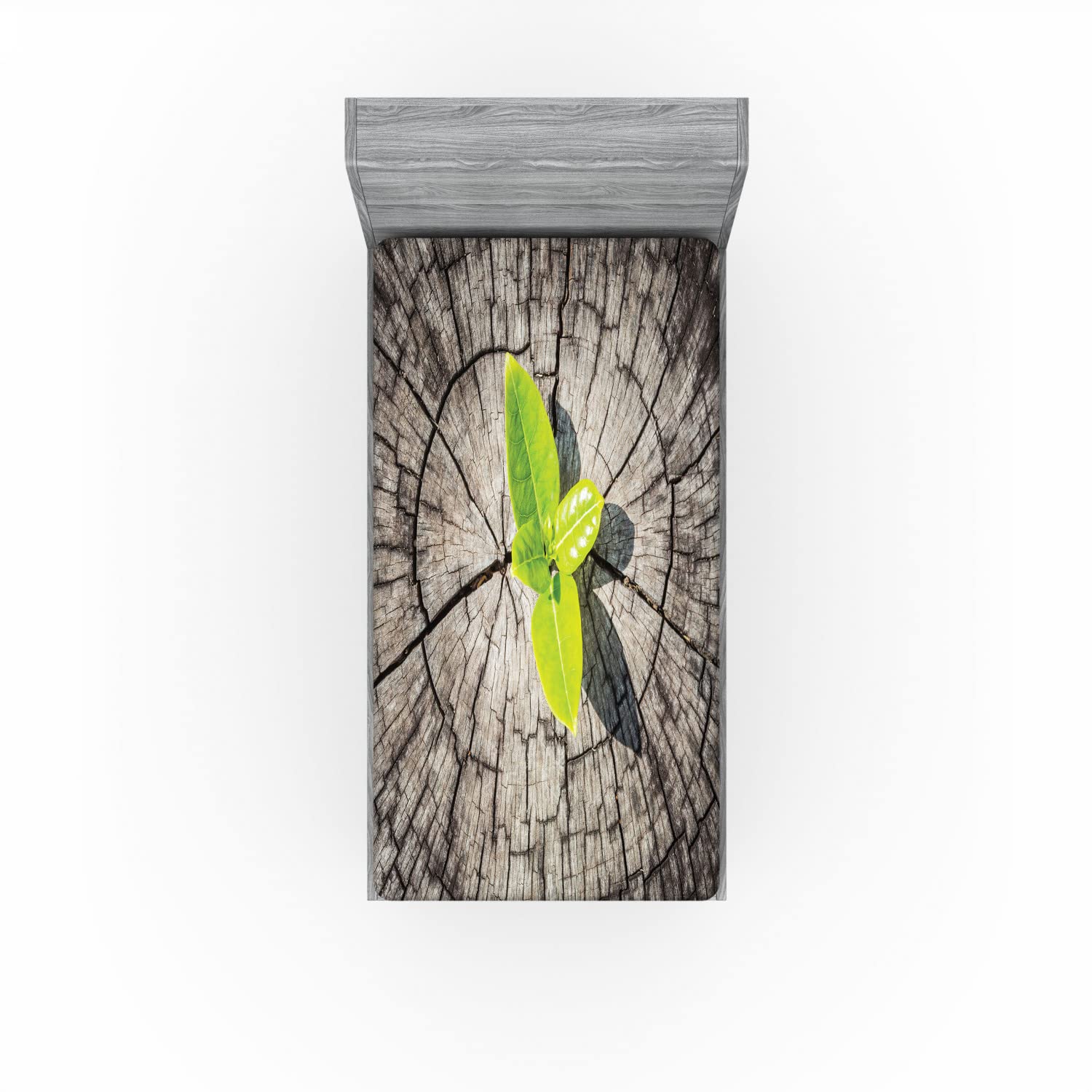 Ambesonne Nature 2 Pack Fitted Sheet, Dried Earth Planet, Bed Cover All-Round Elastic Deep Pockets 2 Pieces, Package Contains 2 Twin Size Fitted Sheets, Brown and Green