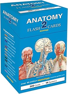 Anatomy 2