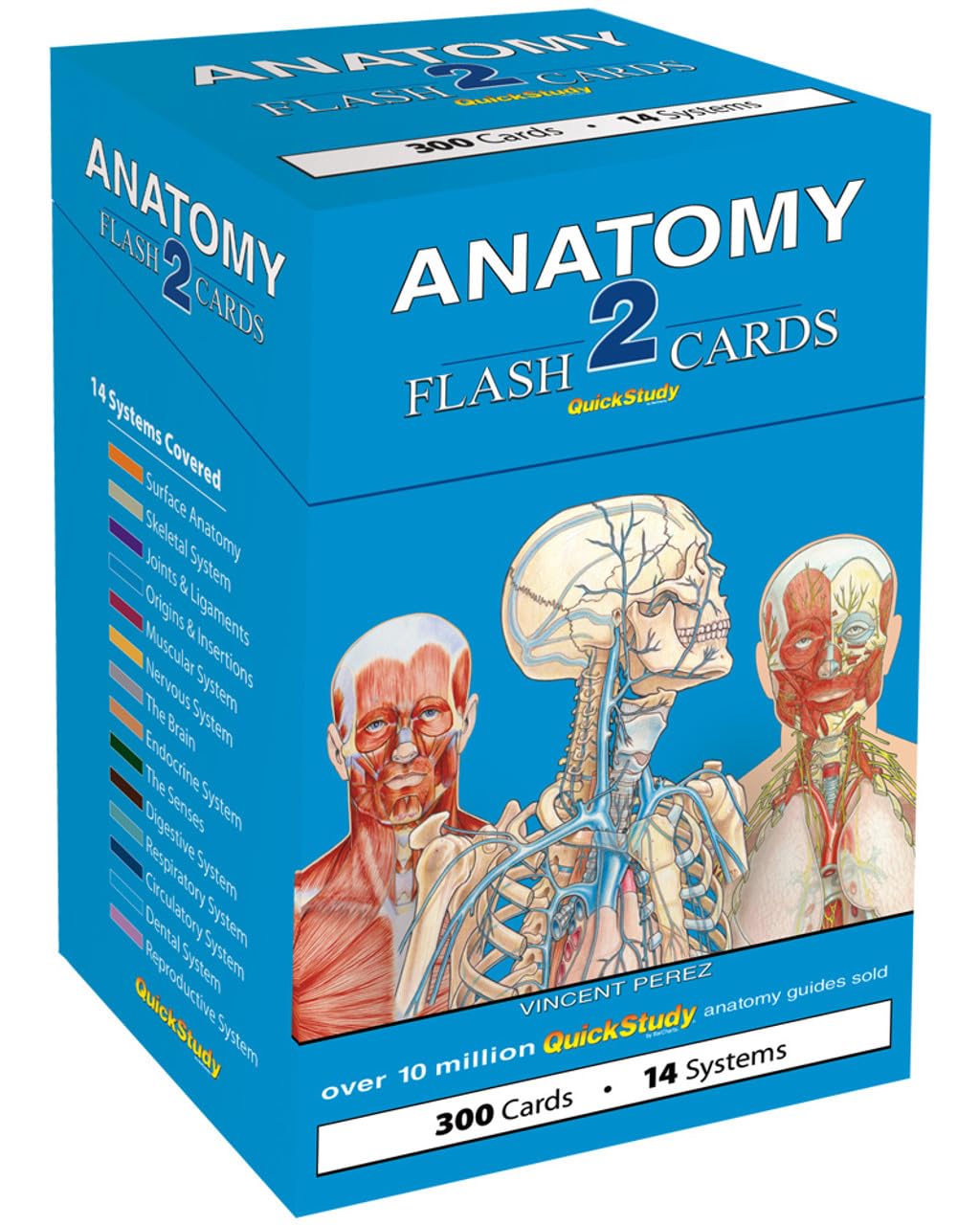 QuickStudy Anatomy 2 Cards