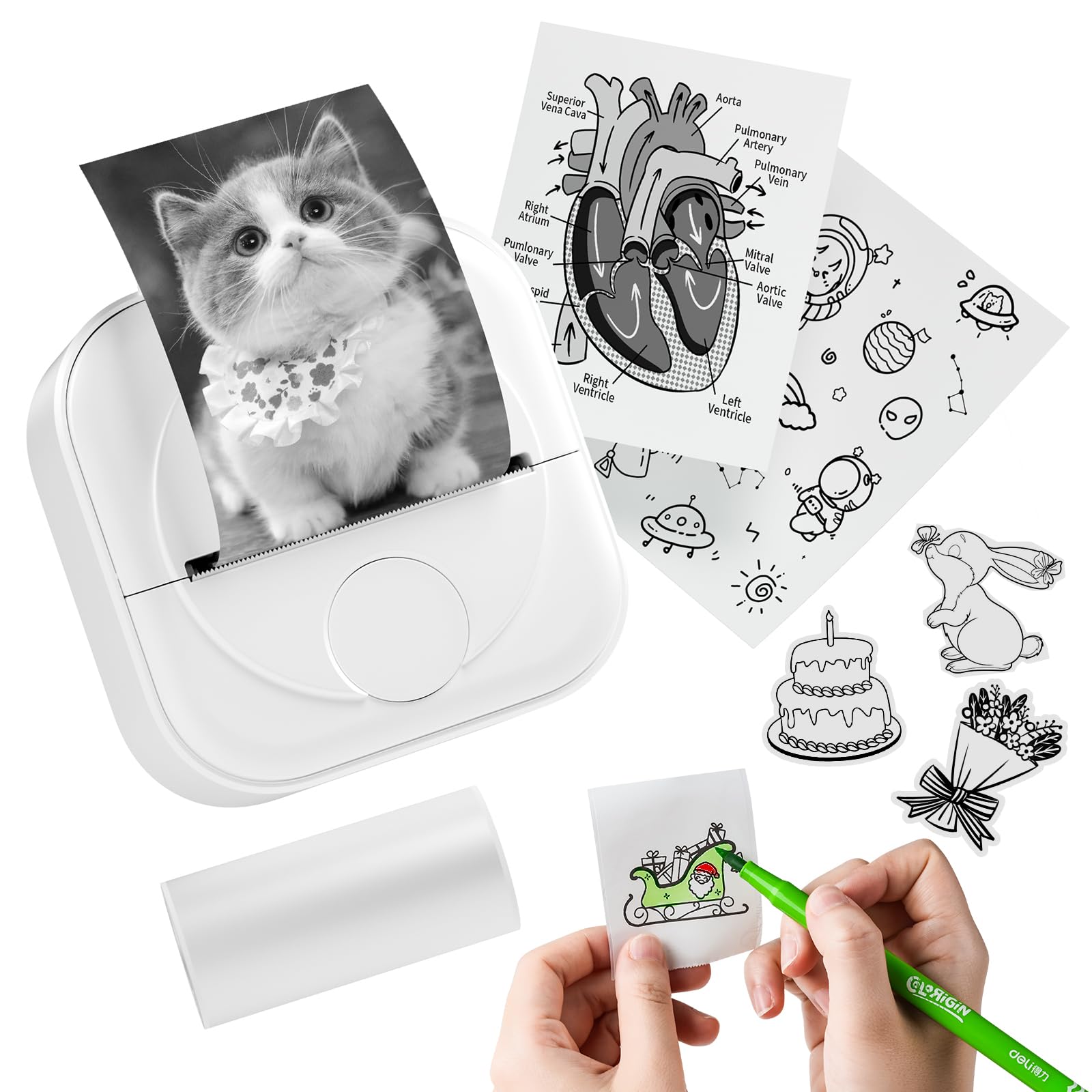 Itari Mini Thermal Printer - Q02 Sticker Printer with 3 Rolls Paper, 2 inch Mini Printer, Mini Photo Printer for iPhone & Tablet, Bluetooth, Inkless, Pocket, for Study, DIY, Kids, White