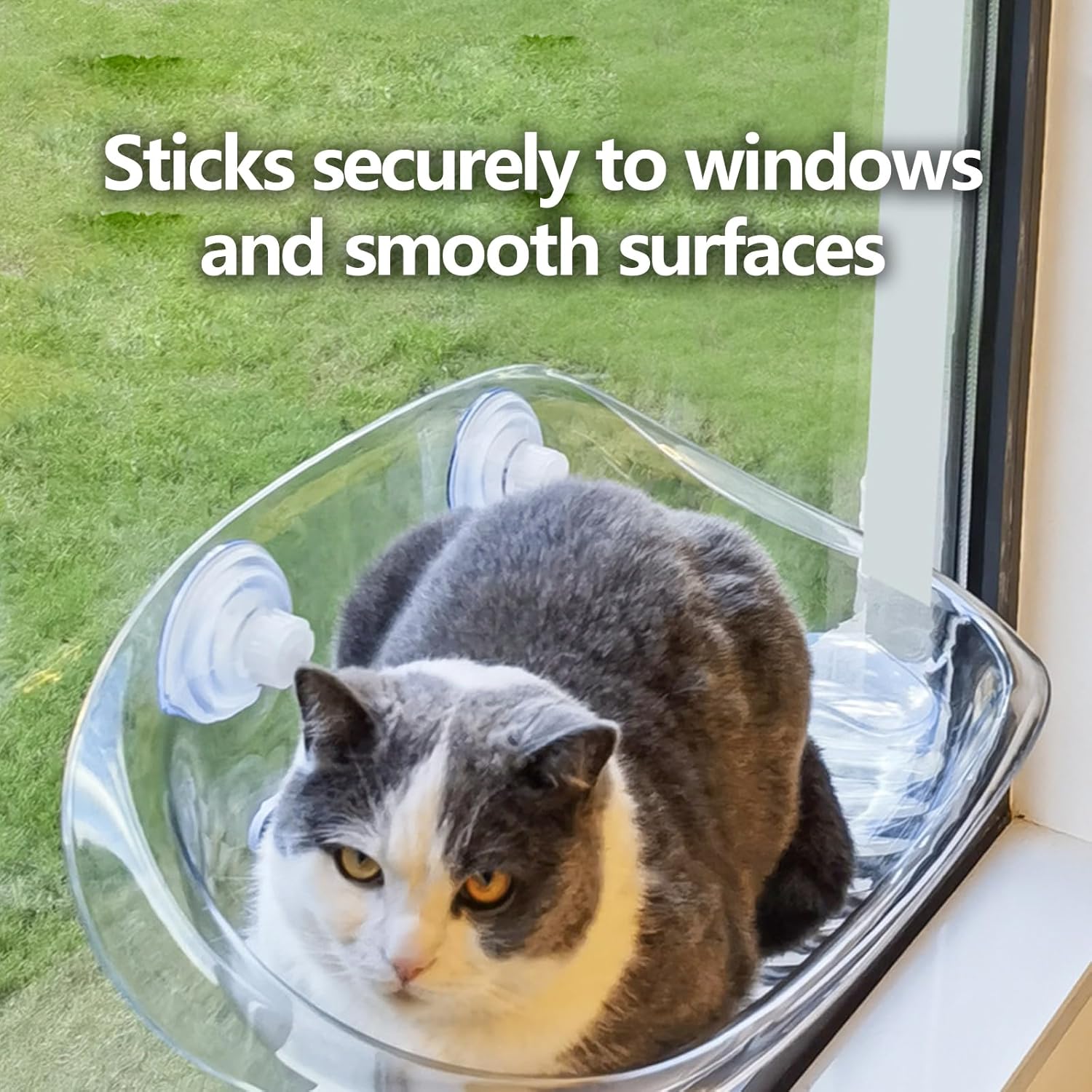 Window Perch Cat Bed - Easy-to-Install, Safe, and Comfortable Hanging Cat Bed for Windows and Smooth Tile Walls (Transparent, M)