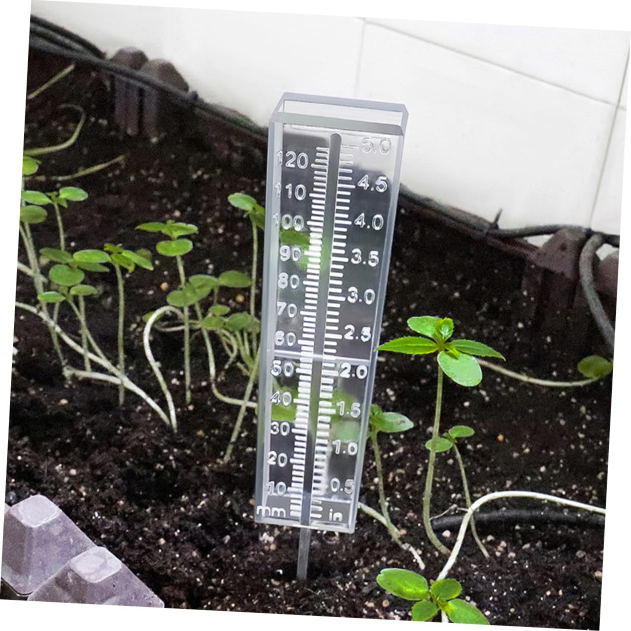 jojofuny Pluviometro da Giardino 6 Pezzi in Plastica Ps Misurazione Precisa della Pioggia Resistente alle Intemperie Design Elegante per Giardinaggio Esterno