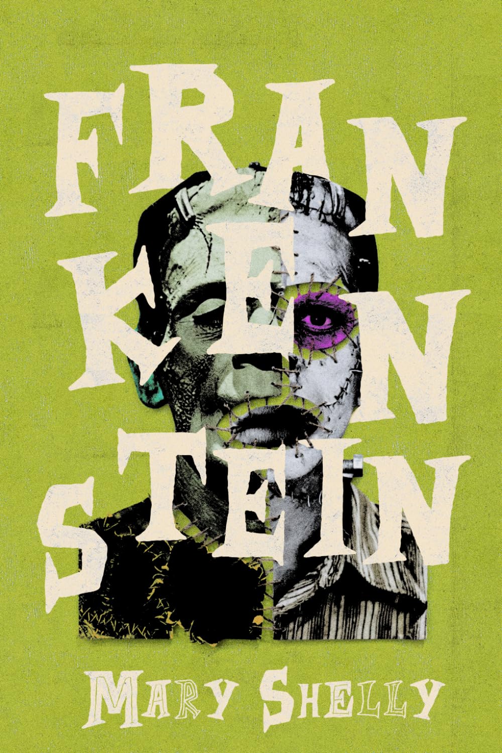 Frankenstein: A Collector's Edition Featuring Original Illustration's and Mary Shelley's Biography