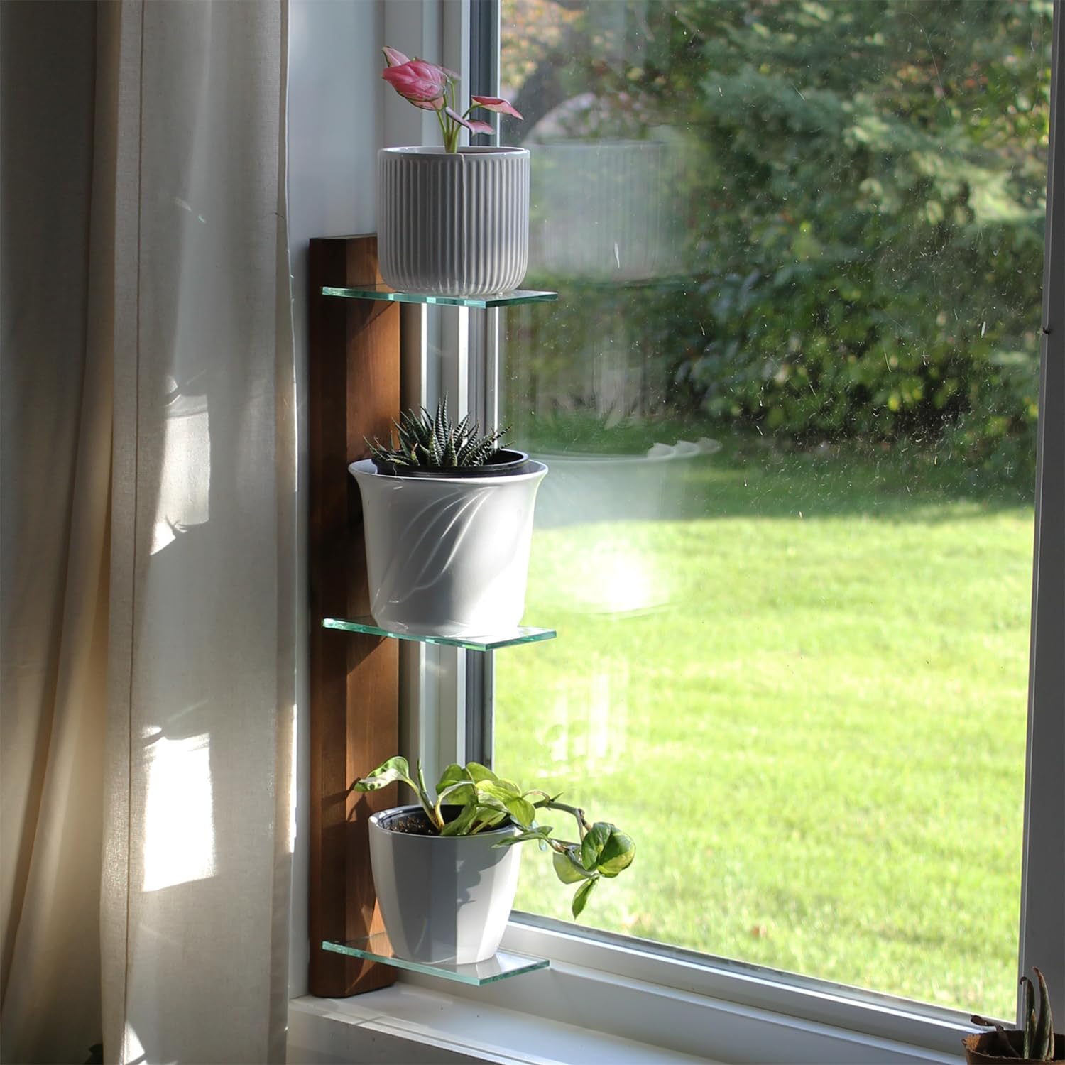 Amazon.com: Daniel's Plants 3 Tiered Window Sill Plant Shelf (Real Wood ...