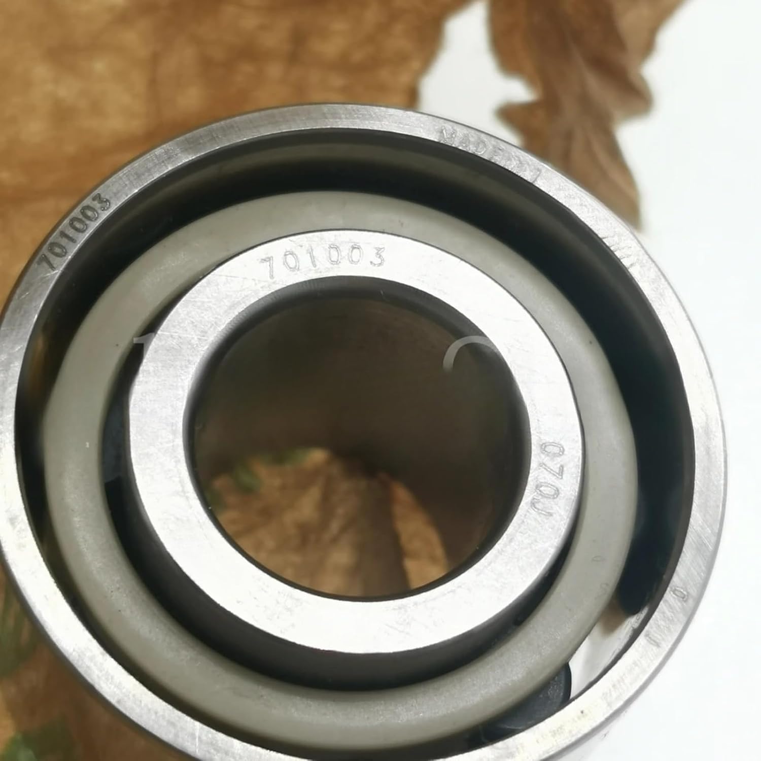 Ceramic Roller Bearings 701003
