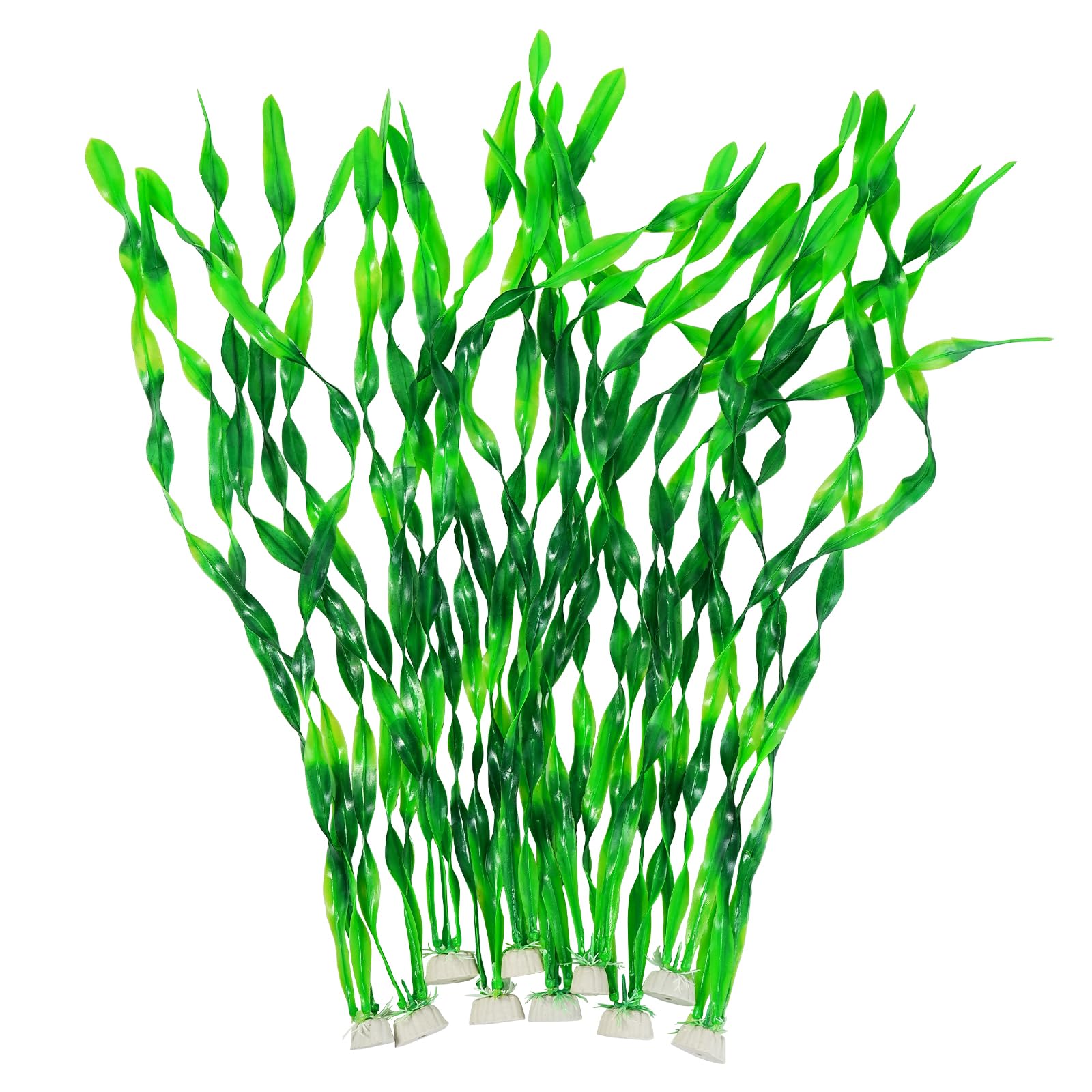 AQUANEAT Green Seaweed 10-Pack