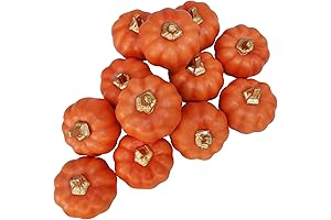 Winlyn 12 Pcs Thanksgiving Centerpiece Decor