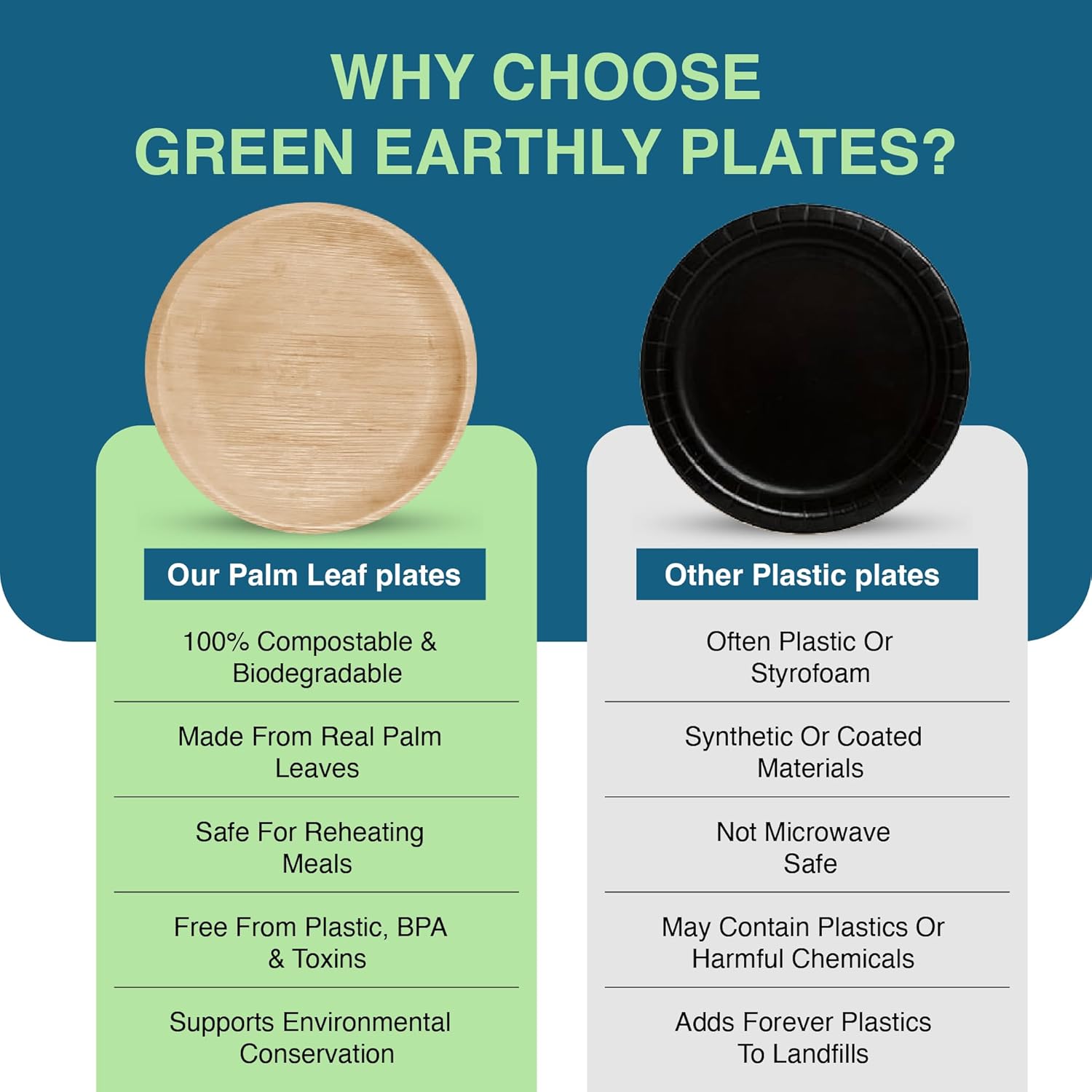 Bulk 10" Palm Leaf Disposable Dinner Plates (50-Count) - 100% Natural & Compostable Eco-friendly Plates for Lunch, Dinner or Catering