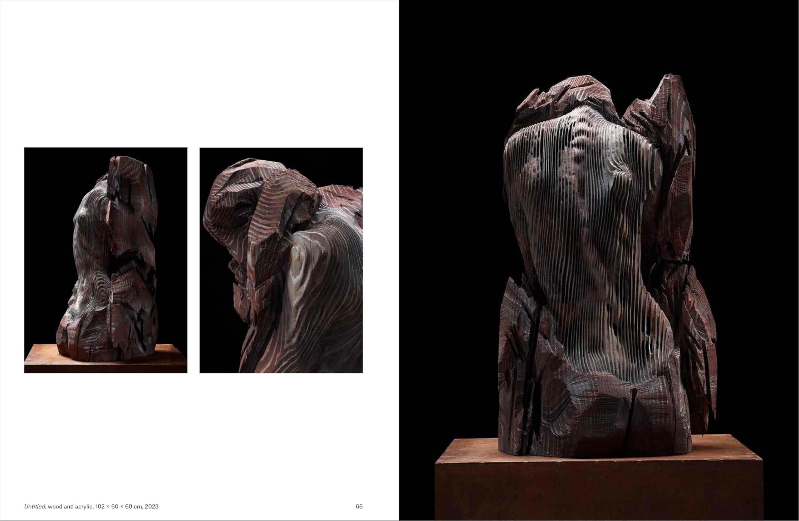 Aron Demetz: Nur die Winter zählend / Only Counting the Winters