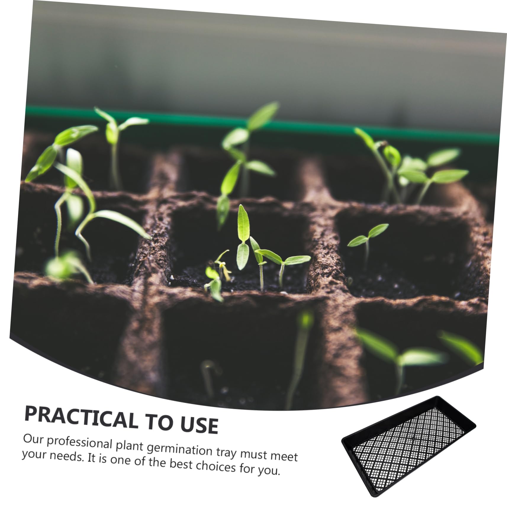 INOOMP 6pièces Lot de Plateaux De Culture pour Et Germination pour Plantes Haricots Mungo Arachides Et Haricots Noirs