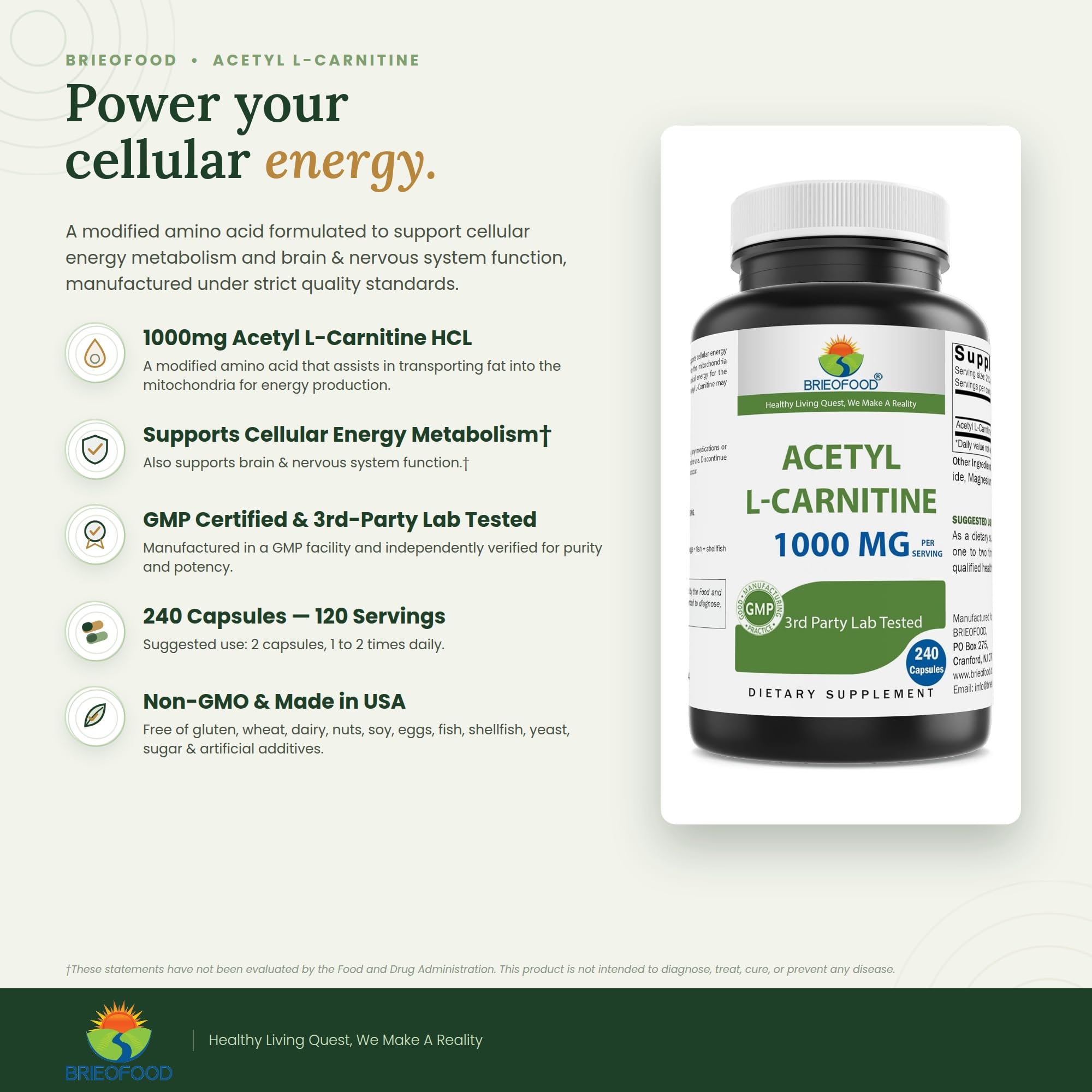 Brieofood Acetyl L-Carnitine 1000 mg Per Serving- 240 Capsules. Gluten-Free, Non-GMO. — Amazon image 2