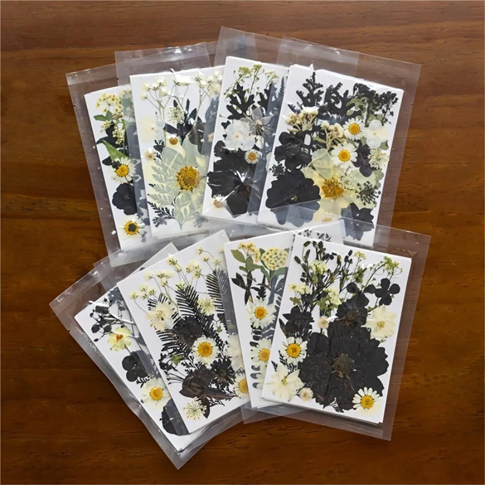 Flores Secas Prensadas Kit de artesanía Hojas Flores secas 4 Piezas