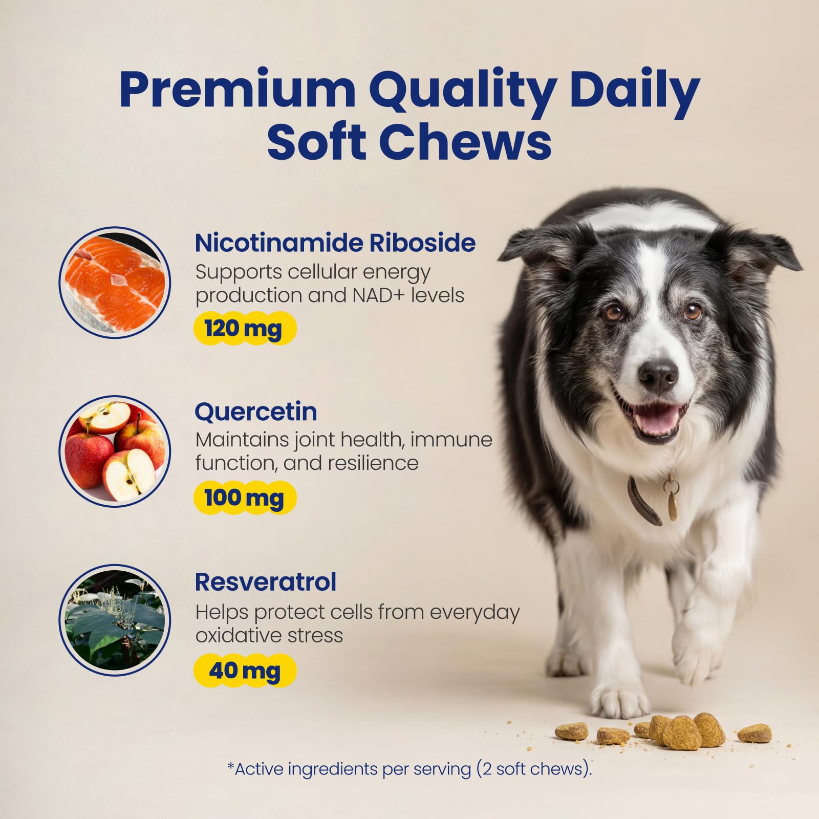 Boops Pets Precursor NAD+ y suplemento para perros mayores - 90 tabletas masticables suaves con vitaminas - Alternativa Nmn para Longevidad, antienvejecimiento y energía - Riboside Di