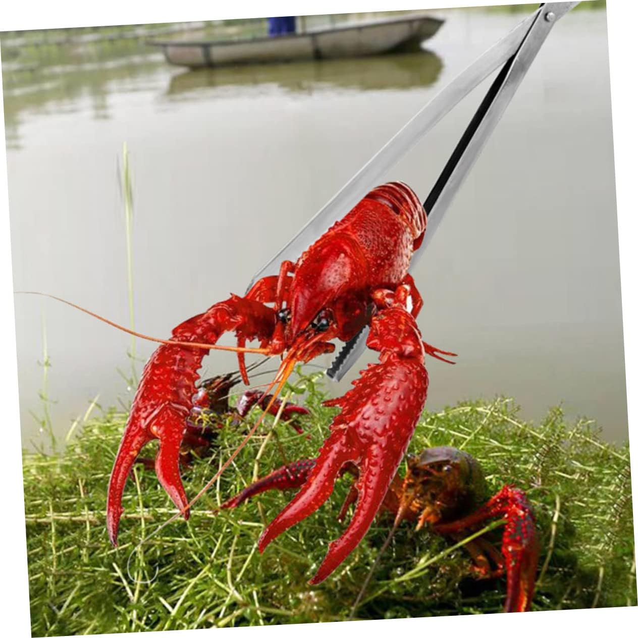 UKCOCO Slip Metal Crab Clip with Grooved Tip Portable Loach and Eel Tong for Fishing and Garbage Pickup Iron and Abs Construction Non Skid Handle Multi Use Seafood and Trash Gripper Tool