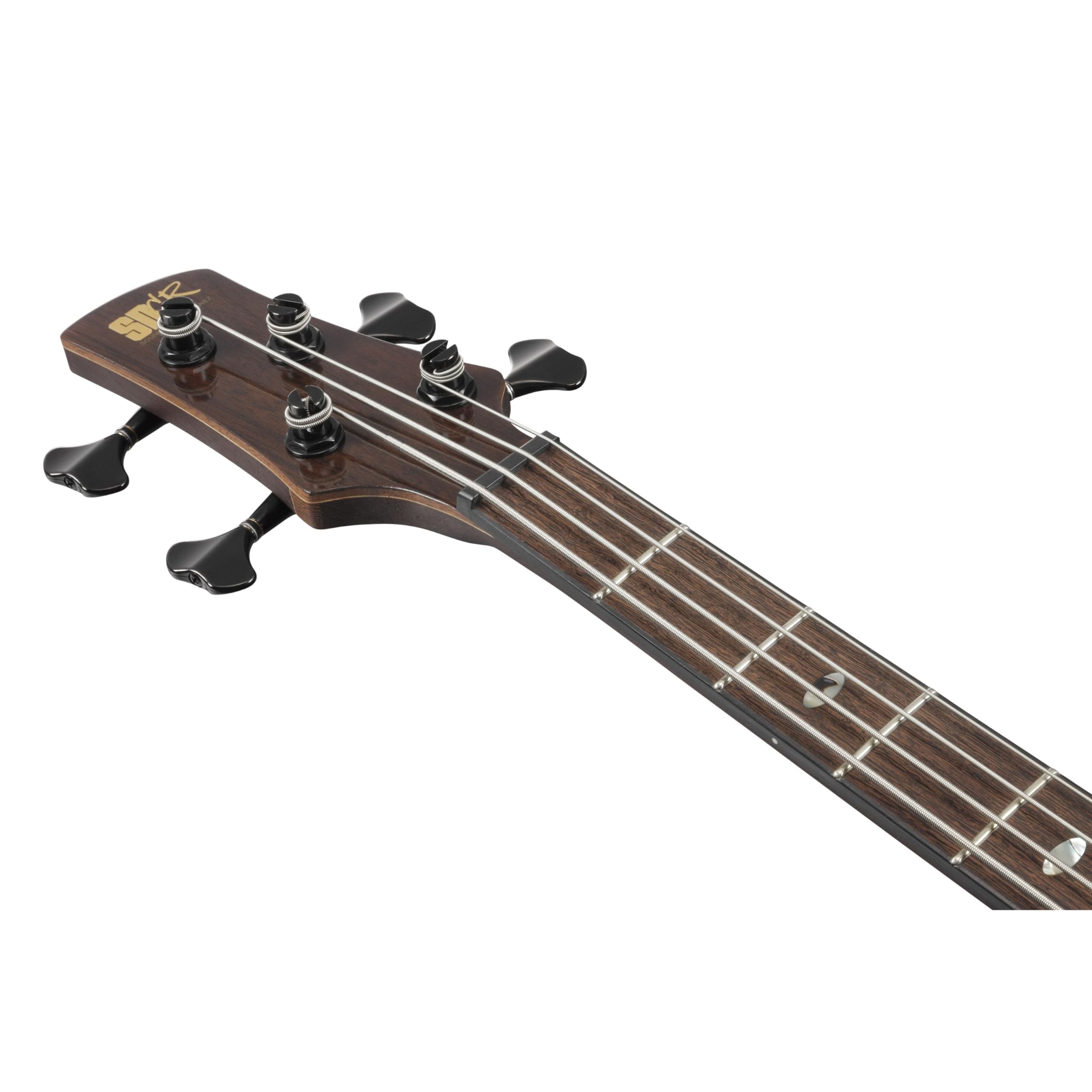 Amazon.com: Ibanez Premium SR1300SB Bass Guitar - Magic Wave Low