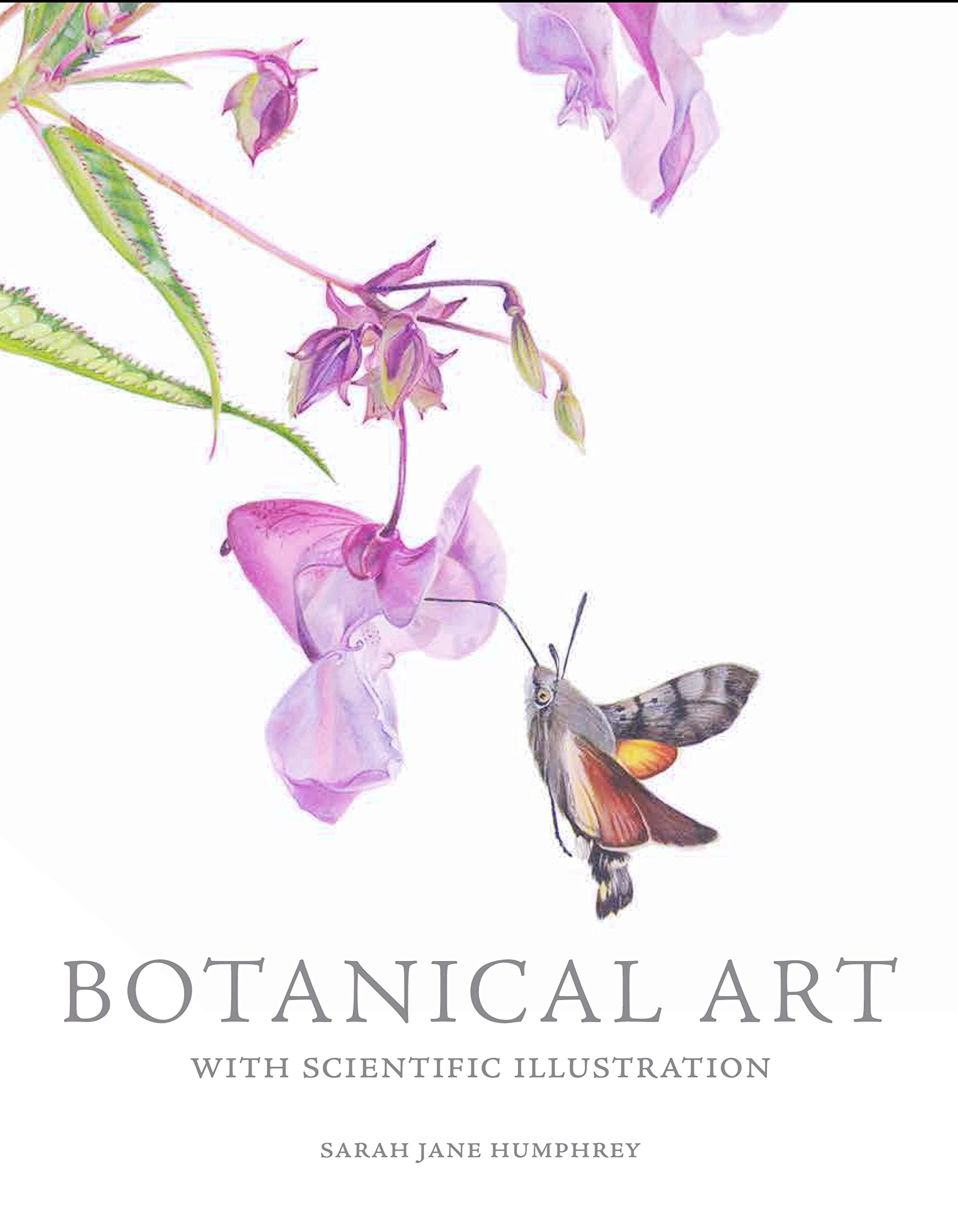 Botanical Art livre illustration scientifique pour dessiner les plantes au salon