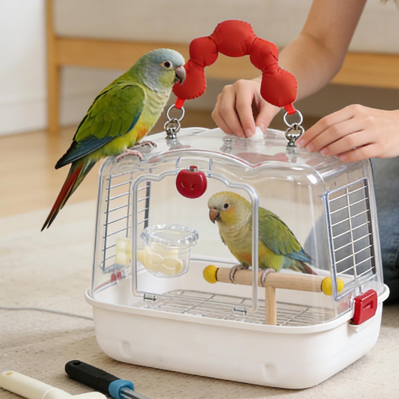 Jaula de Viaje para Aves Bolsa De Transporte Transpirable Para Loros | Bolsa Para Transportar Aves Con Soporte مثالي للمواعيد