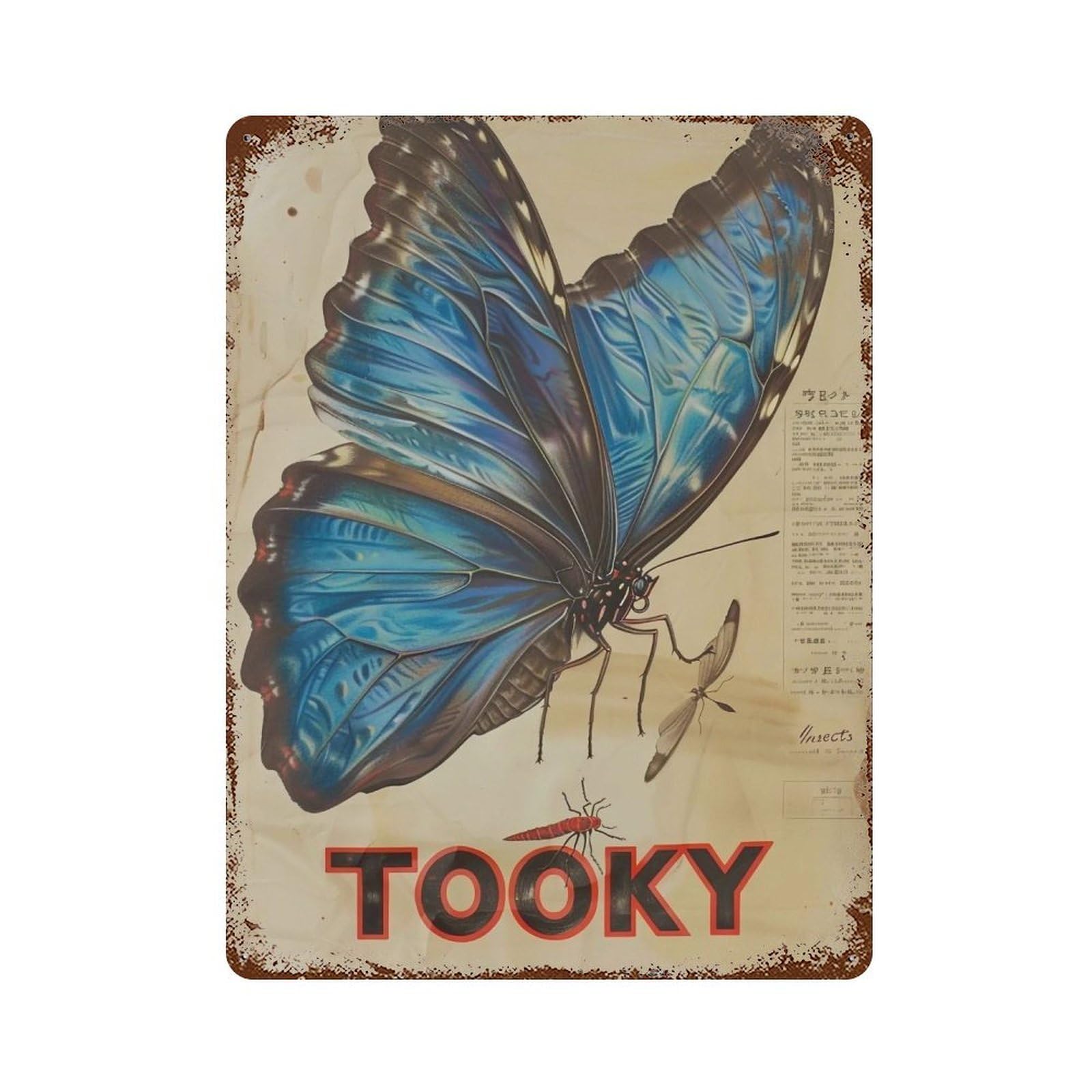FHUYEURHRY Wings-of-the-Rising-Wind_04 Wall Decor Retro Iron Vintage Art Metal Tin Sign Poster Modern Home Cofffee Club Art Bar Shop Decorations Style 40x30cm