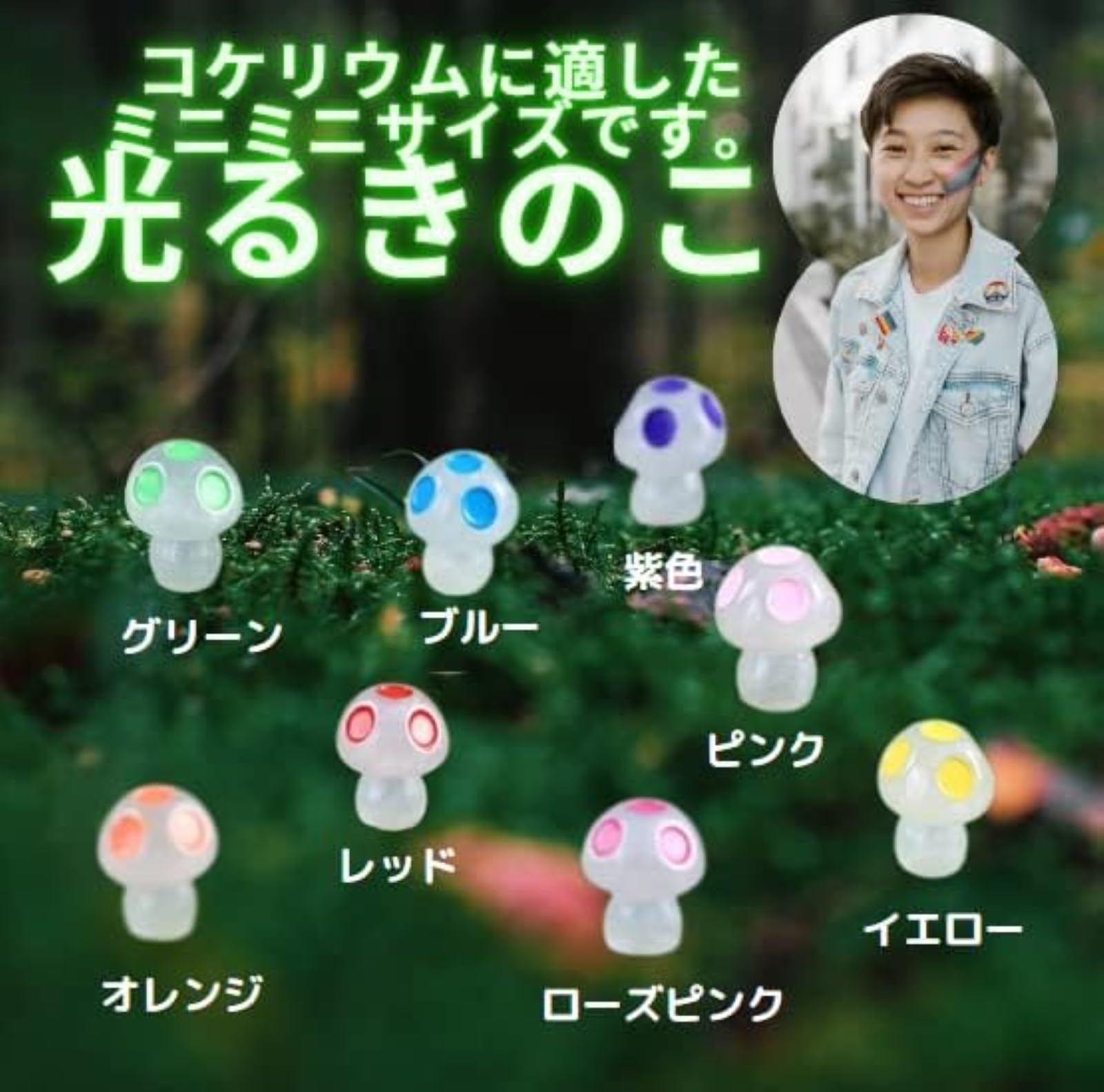 Amazon.co.jp: manatom 苔テラリウム フィギュア テラリウム