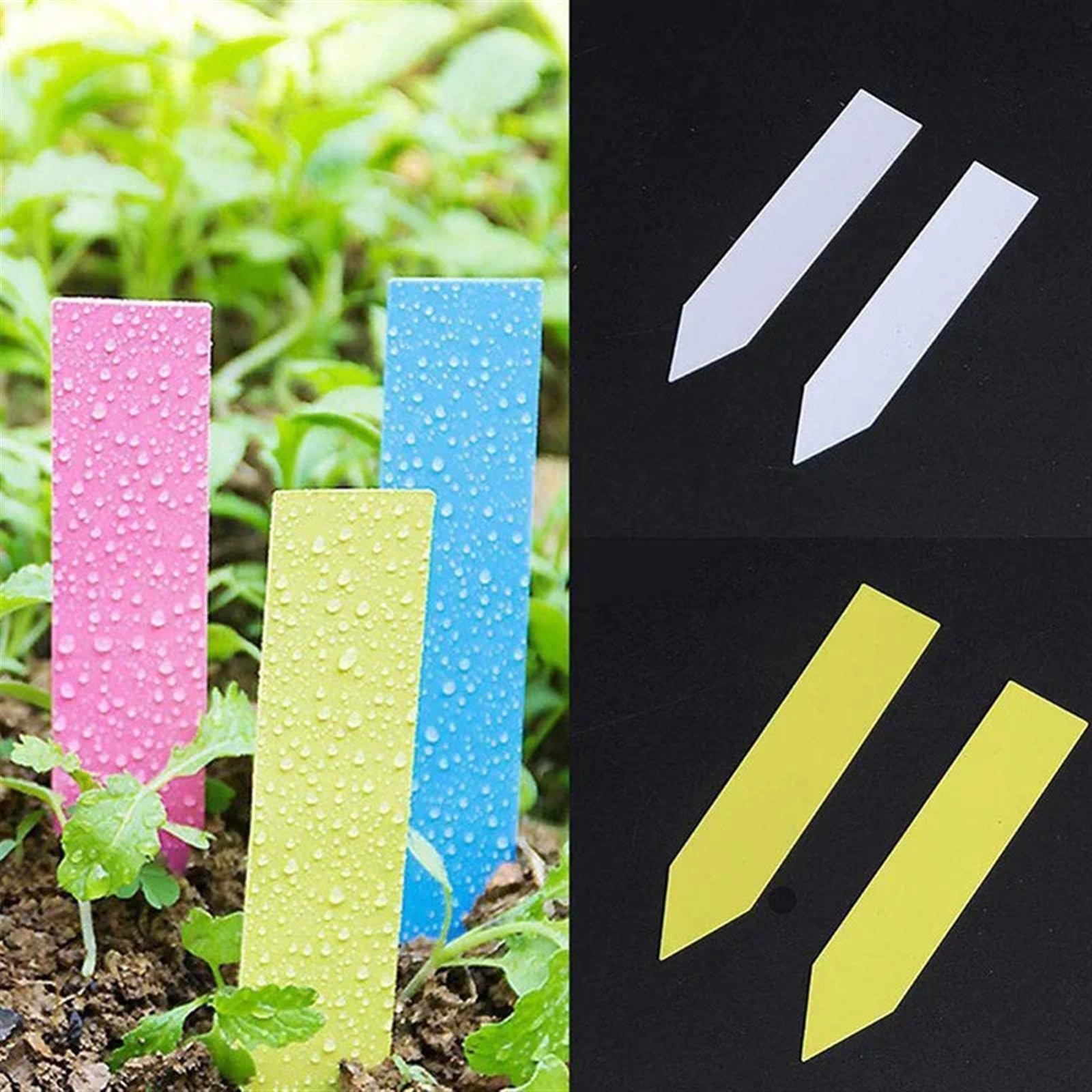 Segnalini a T, Etichette Rigide Piante Giardino, Multicolor, 10x2 cm, 100 Pz, Riutilizzabili(Blue)